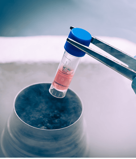 IATA certified cryogenic dry shipper for embryo transport