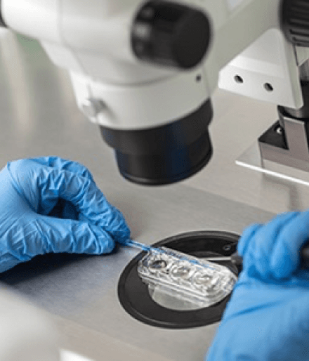 Frozen embryo storage in liquid nitrogen dewar